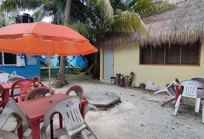 Отель Posada Edem