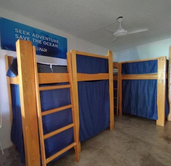 Отель Posada Edem