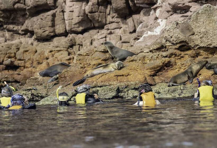 בית מלון כפרי Posada Luna Sol