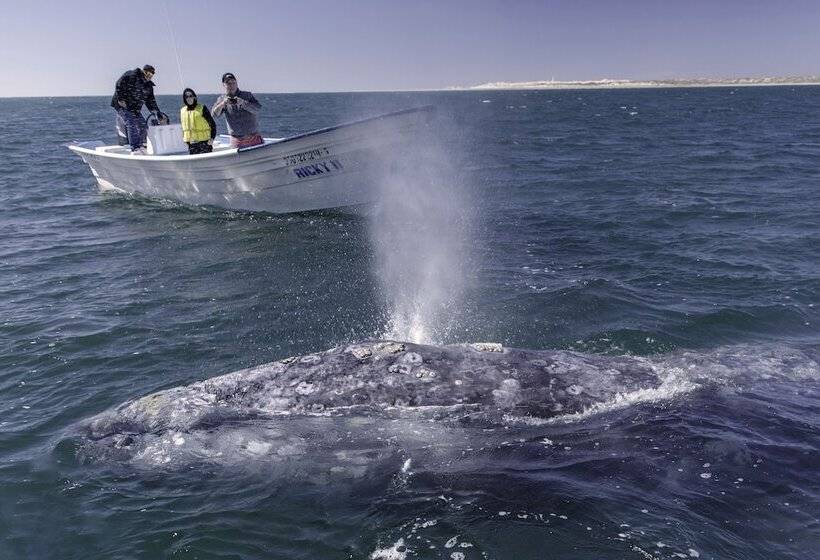 בית מלון כפרי Posada Luna Sol