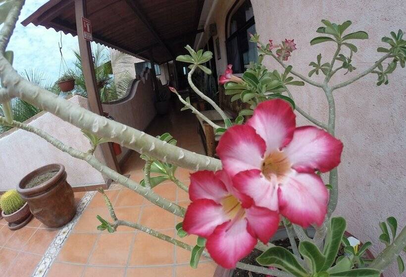 בית מלון כפרי Posada Luna Sol