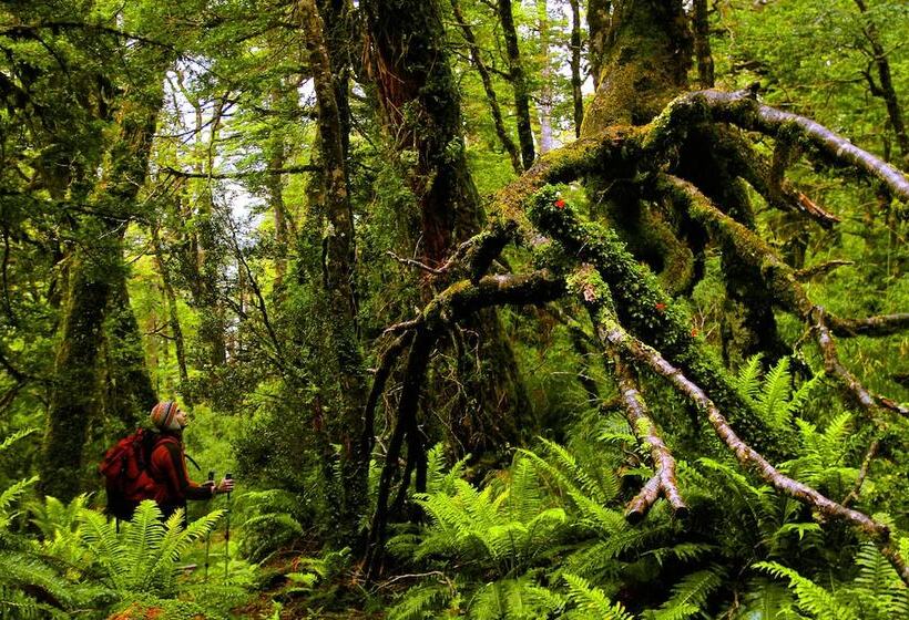 בית מלון כפרי Puyuhuapi Lodge & Spa