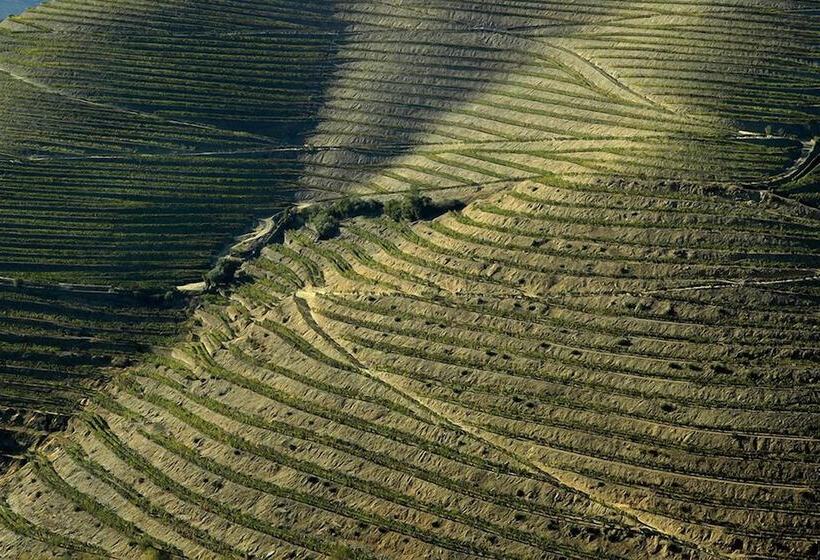 Отель Quinta De La Rosa