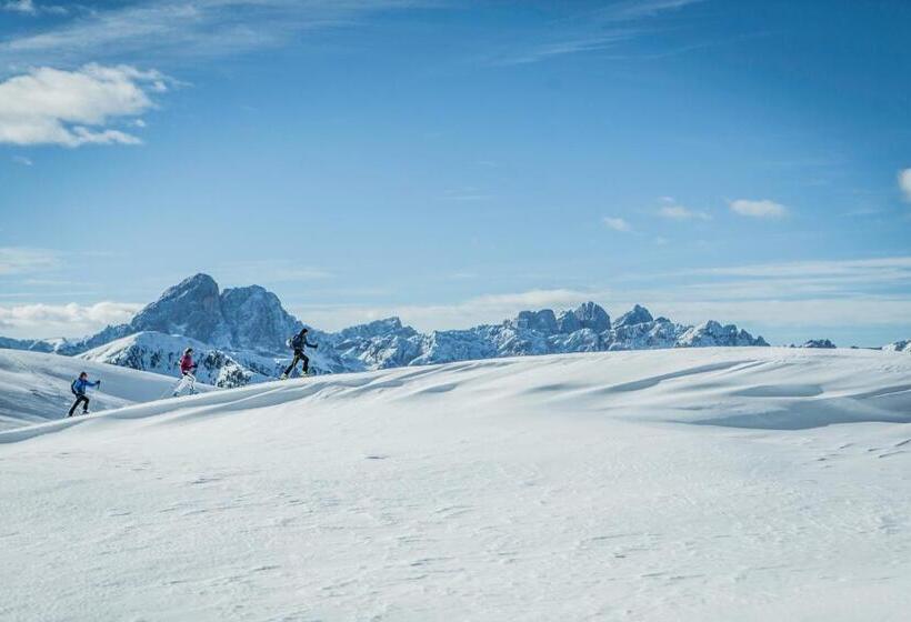 בית מלון כפרי Reipertingerhof