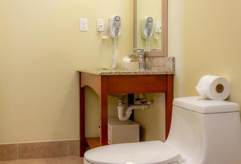 בית מלון כפרי Rolson