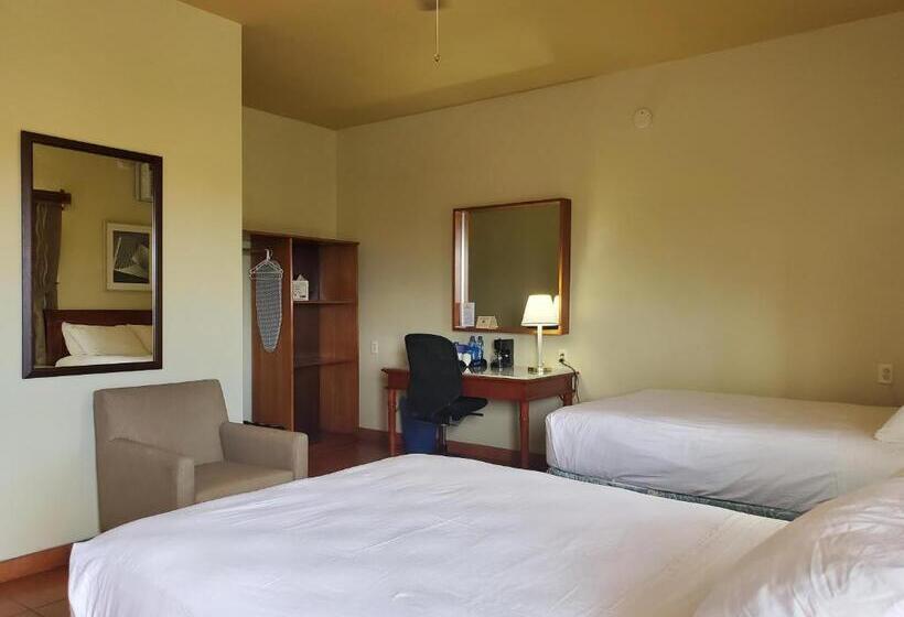 בית מלון כפרי Rolson