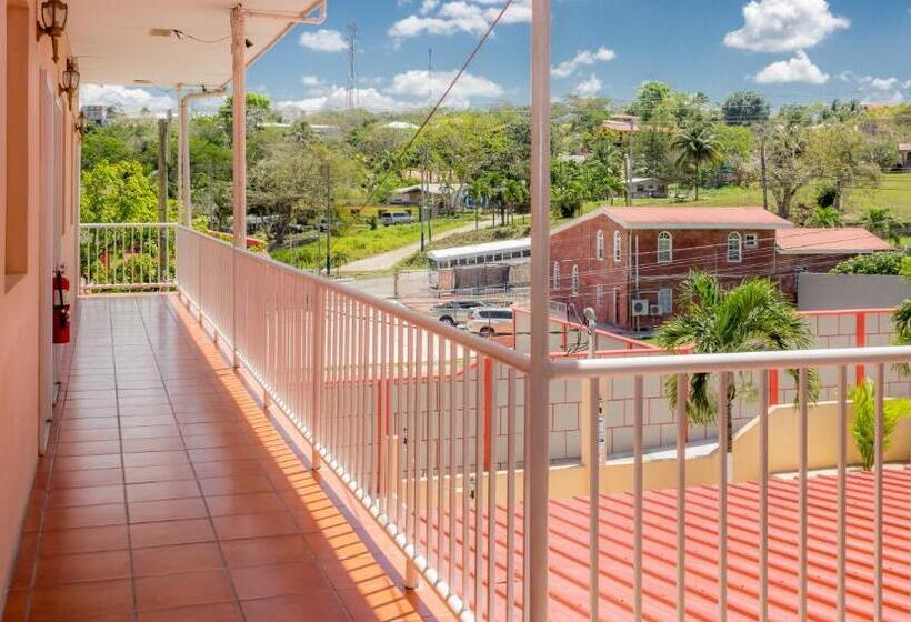 בית מלון כפרי Rolson