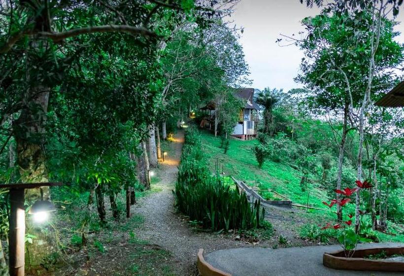 Отель Samai Lodge Holistic Living