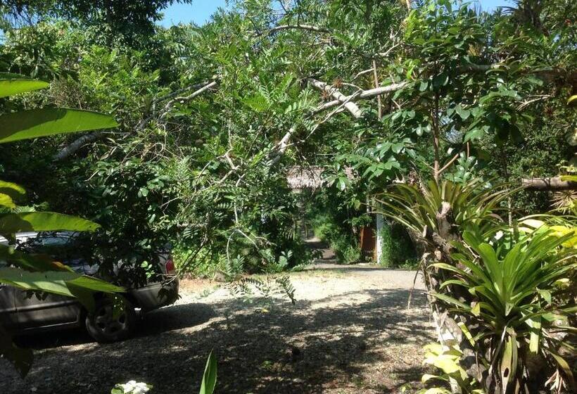 Отель Samai Lodge Holistic Living