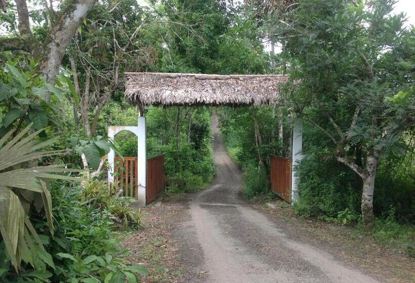 هتل Samai Lodge Holistic Living