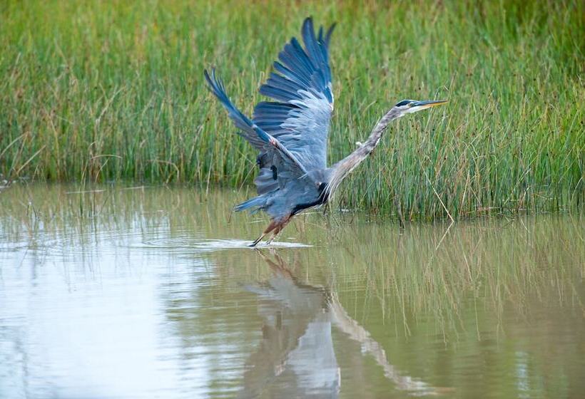 فندق Sandaway Suites & Beach