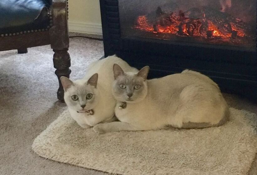 호텔 Shaw House Inn