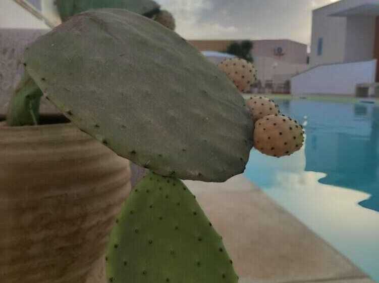 בית מלון כפרי Sole