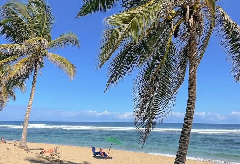 فندق Slabdr Coliving | Once Surf Salvación