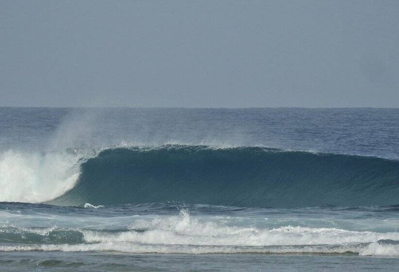 فندق Slabdr Coliving | Once Surf Salvación