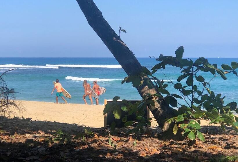 فندق Slabdr Coliving | Once Surf Salvación