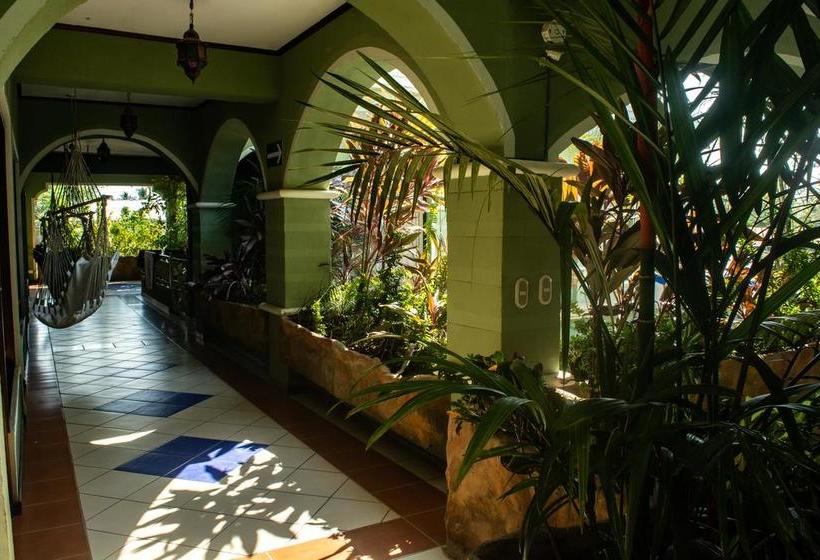 ホテル Tamarindo Hostel Resort