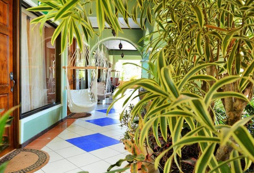 ホテル Tamarindo Hostel Resort