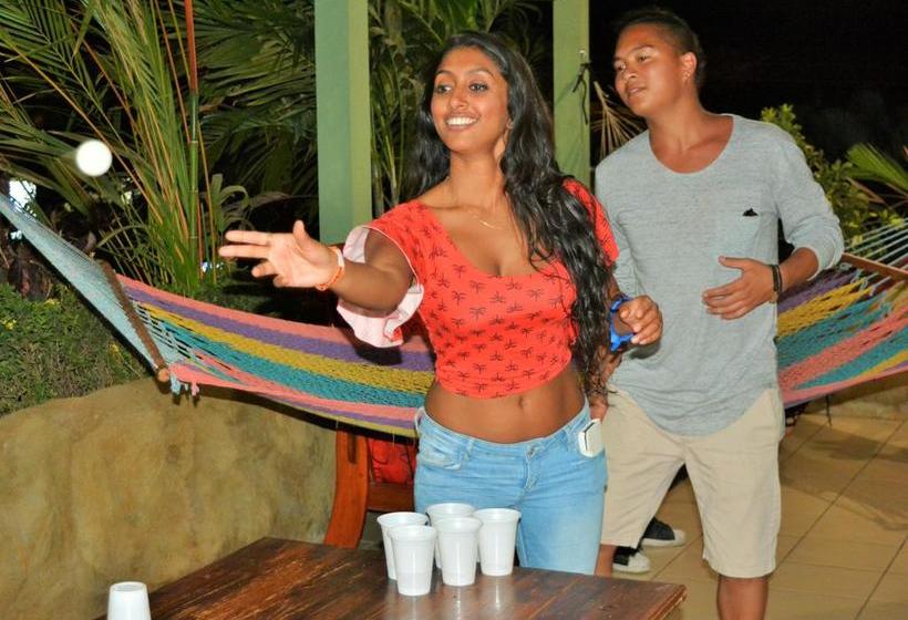 ホテル Tamarindo Hostel Resort