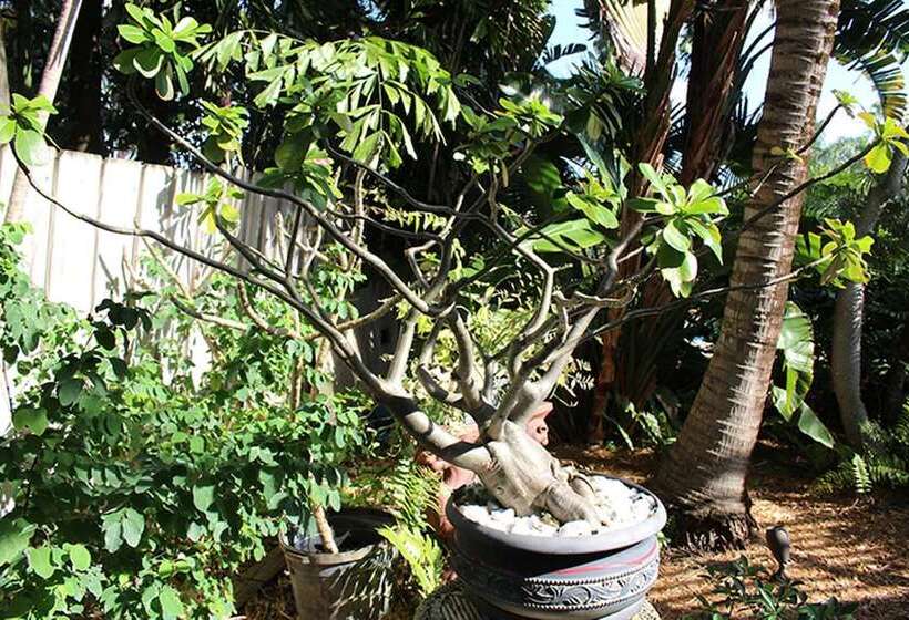 酒店 The Cabanas Guesthouse & Spa Gay Resort Catering To Gay Men