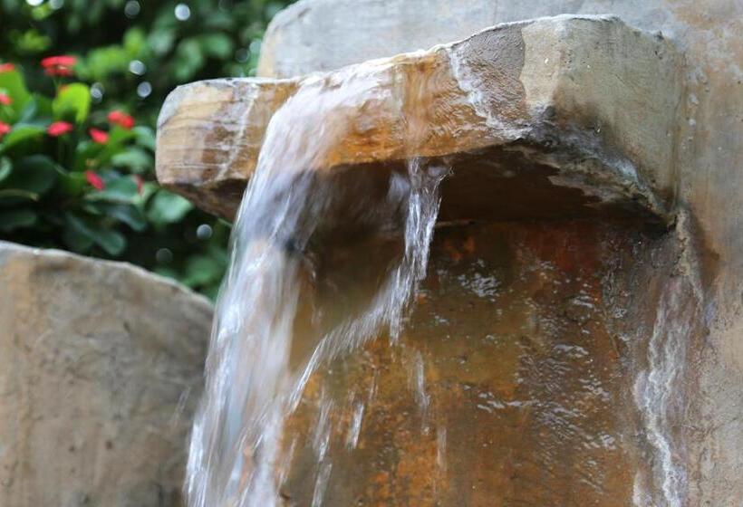 酒店 The Cabanas Guesthouse & Spa Gay Resort Catering To Gay Men