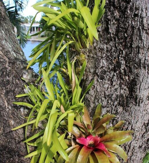 酒店 The Cabanas Guesthouse & Spa Gay Resort Catering To Gay Men