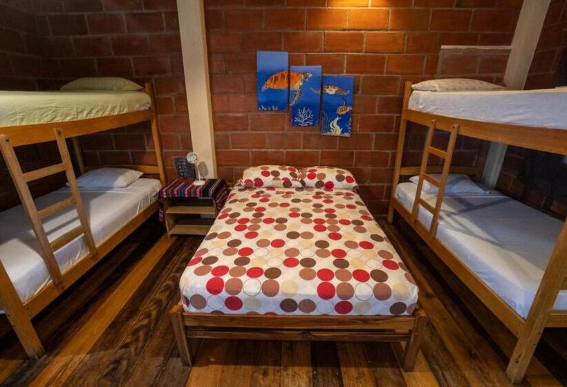 هتل The Sea Garden House