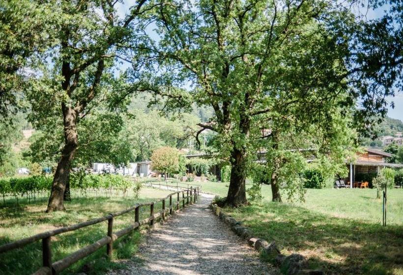 فندق Valdonica Winery Fine Dine & Wine