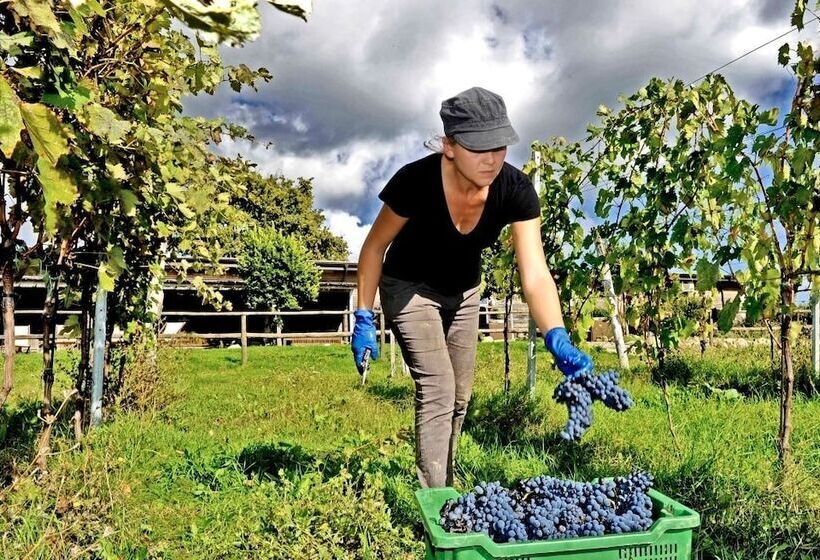 فندق Valdonica Winery Fine Dine & Wine