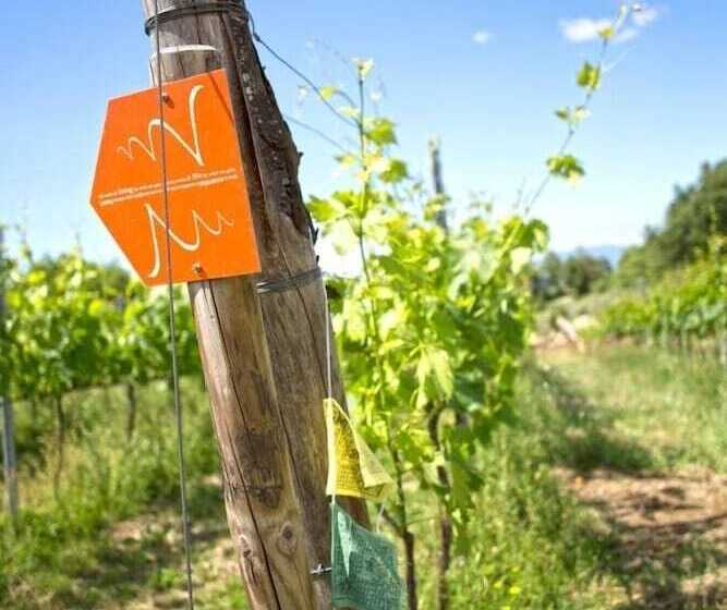 فندق Valdonica Winery Fine Dine & Wine