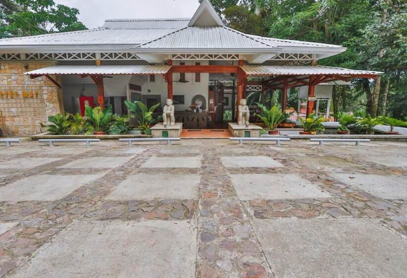 Oceanfront Hotel Verde Mar Direct Access To The Beach