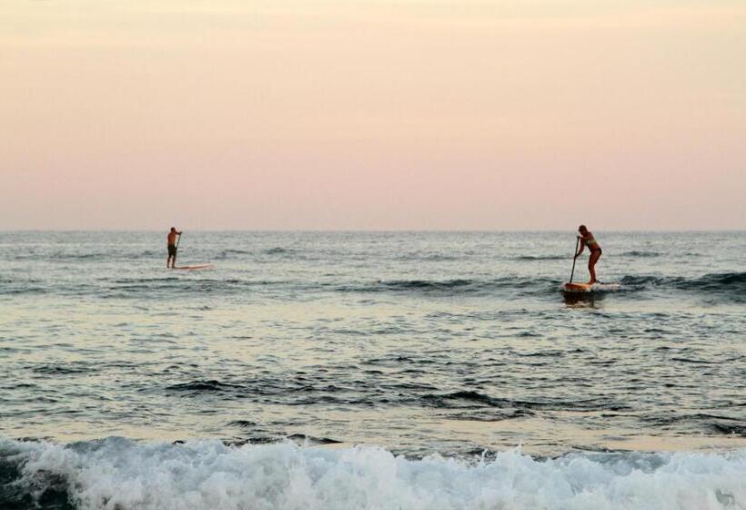 בית מלון כפרי Vidasoul