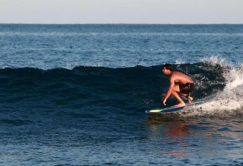 בית מלון כפרי Vidasoul