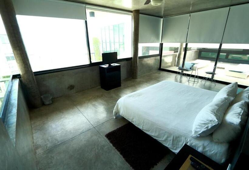 בית מלון כפרי Vidasoul