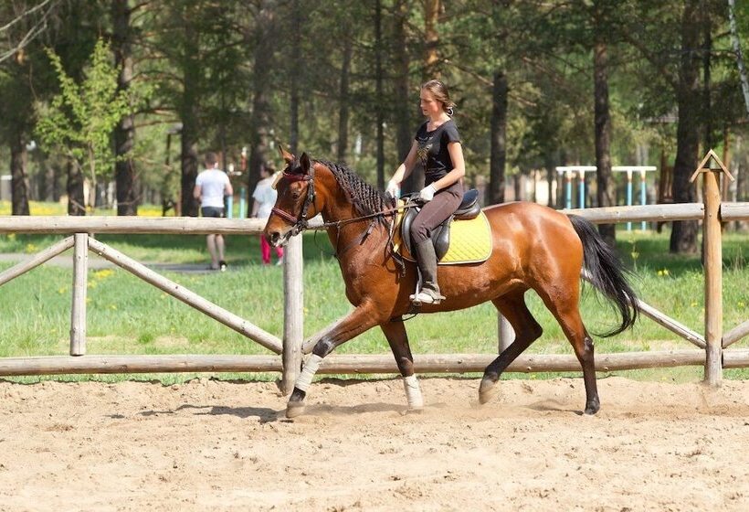 Park Hotel Yahonty Noginsk