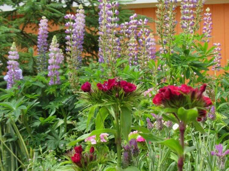 Acadia Gateway Motel