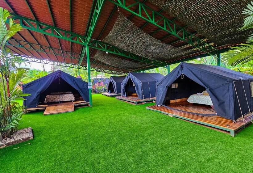 فندق صغير Arenal Backpackers Resort