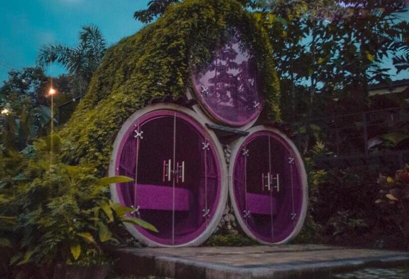 فندق صغير Arenal Backpackers Resort