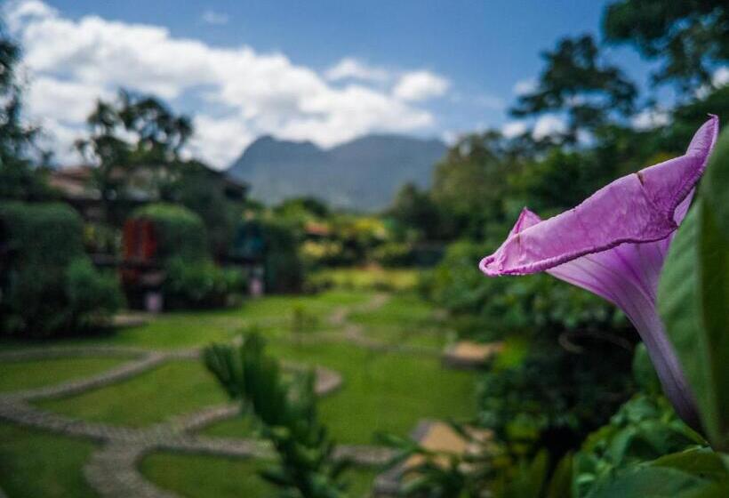 فندق صغير Arenal Backpackers Resort