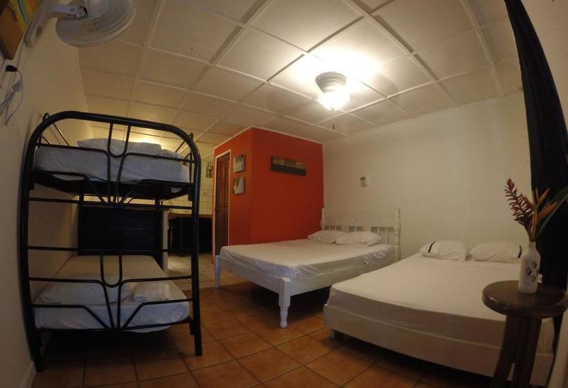 호스텔 Beds On Bohio