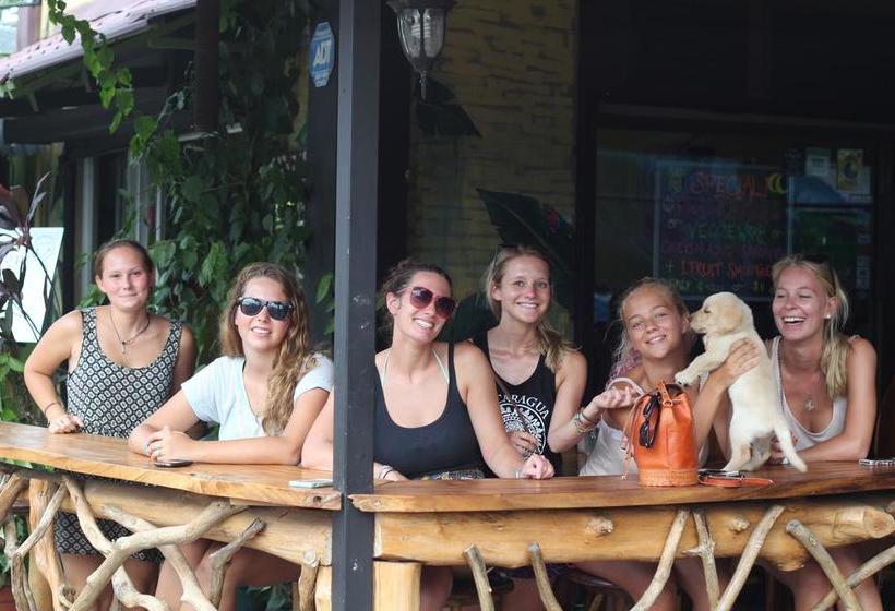 호스텔 Beds On Bohio