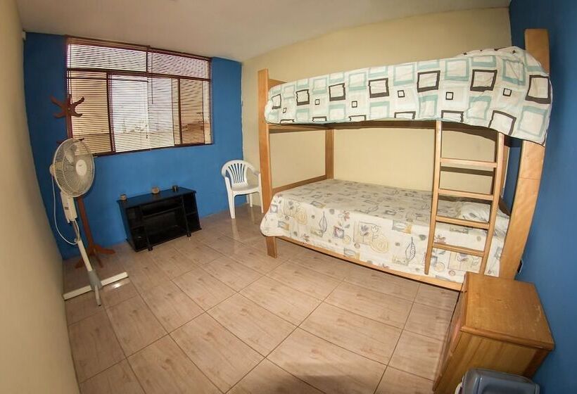 فندق صغير Bravo Surf Camp