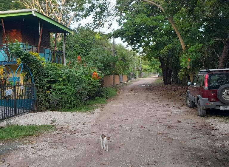 旅馆 Cabinas Del Mar