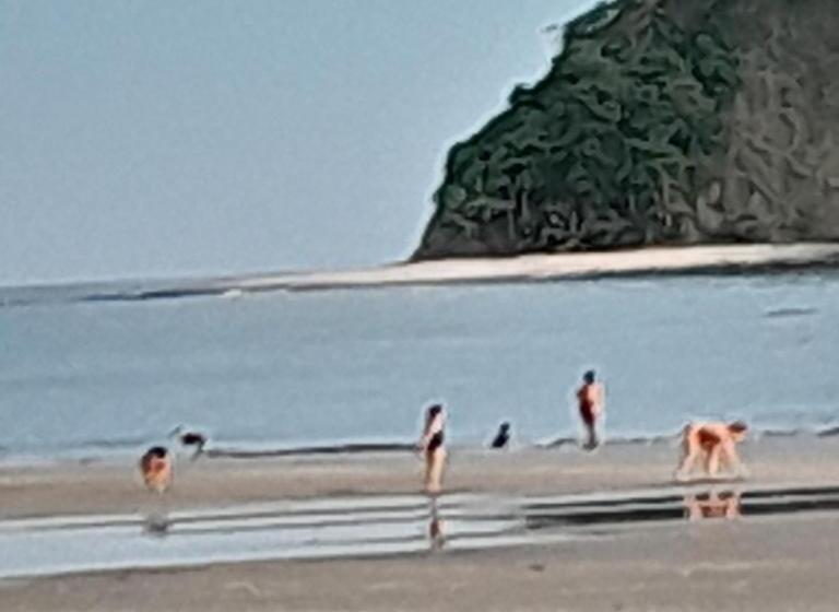 旅馆 Cabinas Del Mar