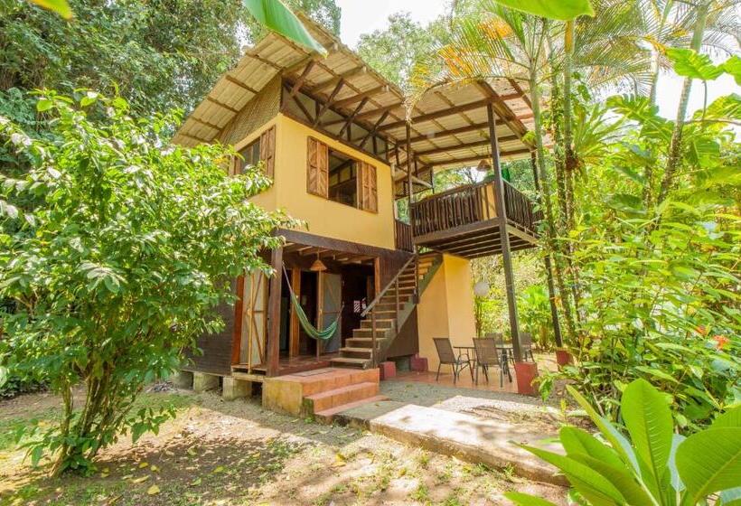 Общежитие Cabinas Montesol