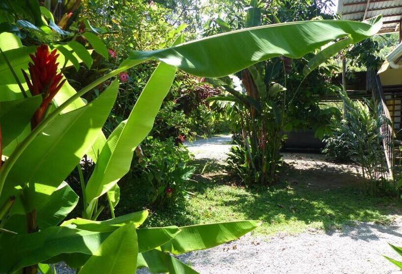 Общежитие Cabinas Montesol