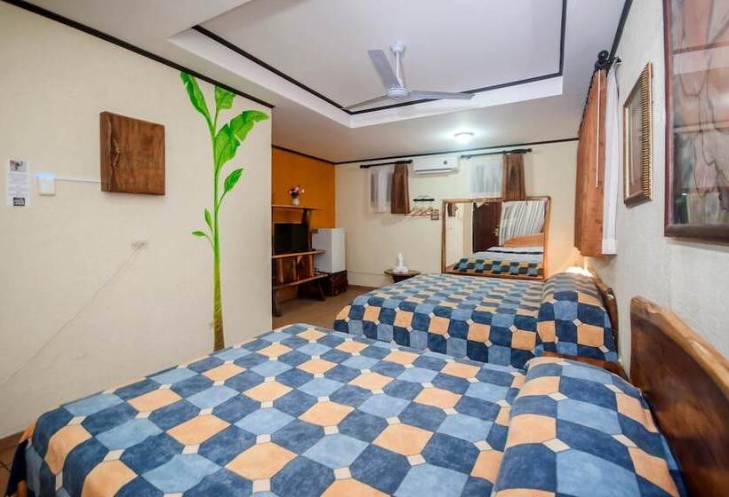 旅馆 Cadillac Rock Beach