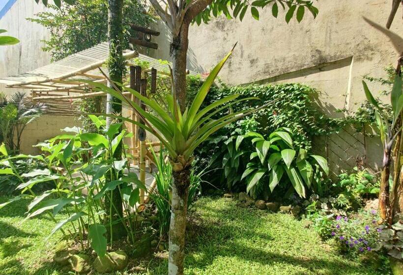 فندق صغير Casa De Lis Hotel & Tourist Info Centre