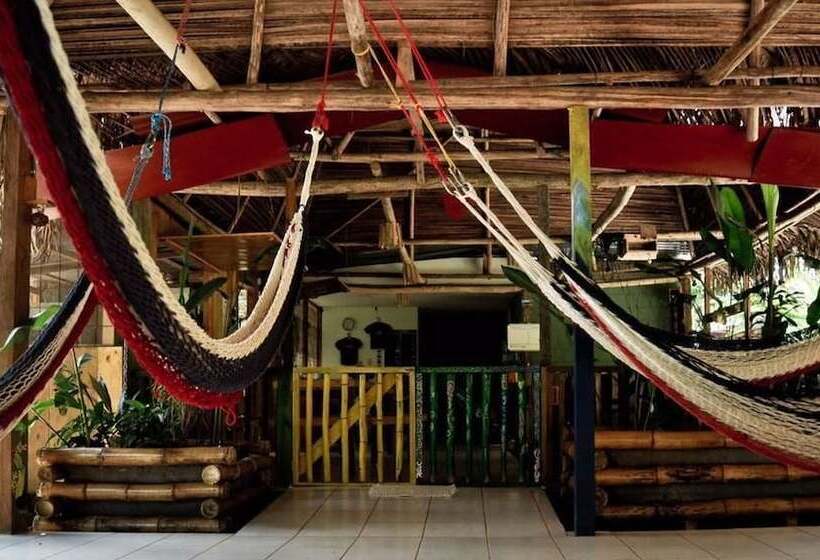 فندق صغير Drake Bay Backpackers