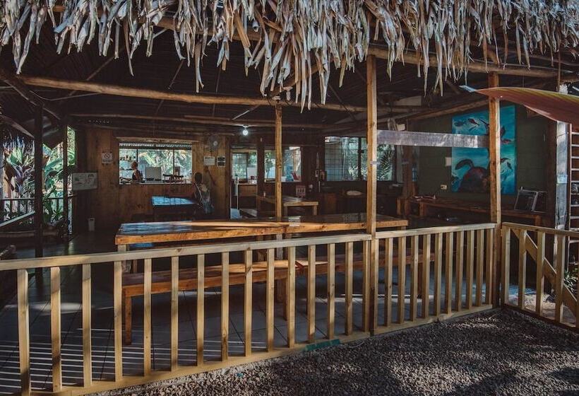 فندق صغير Drake Bay Backpackers